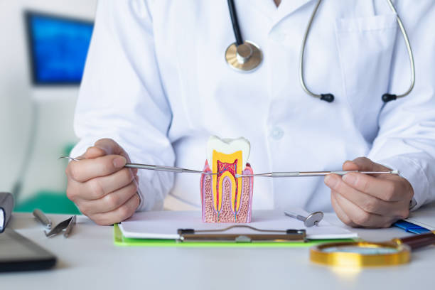 Best Emergency Tooth Extraction in Baden, MD